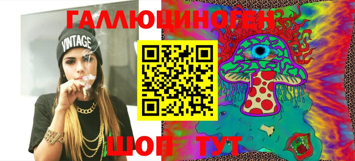 Псилоцибиновые грибы Psilocybine cubensis Севастополь